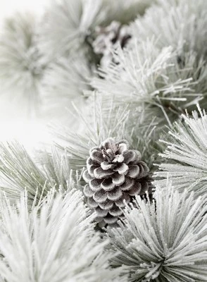 Sullivans 6' Flocked Pine & Cone Artificial Garland 72"L Green 3 Sullivans 6' Flocked Pine & Cone Artificial Garland 72"L Green