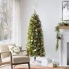 6' Pre-lit Slim Virginia Pine Artificial Christmas Tree Multicolor Lights - Wondershop™ -Outlet Xmas Decor Tree Store GUEST e4f7997f 42ca 419c b7f5 386ea9063d16