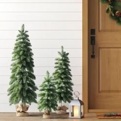 3pc Unlit Downswept Alberta Spruce Mini Artificial Christmas Trees with Burlap Base - Wondershop™