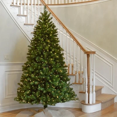 National Tree Company 7 ft Pre-Lit Artificial Christmas Tree, Green, North Valley Spruce, White Lights, Includes Stand 3 National Tree Company 7 ft Pre-Lit Artificial Christmas Tree, Green, North Valley Spruce, White Lights, Includes Stand