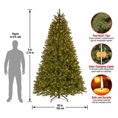 National Tree Company Bayberry Spruce 9 Foot Prelit Artificial Christmas Holiday Tree with White and Multicolor LED Lights, Easy Assembly, Metal Stand 3 National Tree Company Bayberry Spruce 9 Foot Prelit Artificial Christmas Holiday Tree with White and Multicolor LED Lights, Easy Assembly, Metal Stand