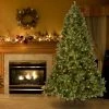 National Tree Company 6.5 ft Pre-Lit 'Feel Real' Artificial Full Downswept Christmas Tree, Green, Douglas Fir, White Lights, Includes Stand