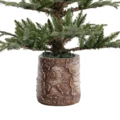 Haute Decor 5ft Pre-Lit LED Timberland Fir Artificial Potted Christmas Tree - Haute Décor