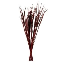 Vickerman 28"-36" Splinter Grass Bundle, 22oz Dried 14 Vickerman 28"-36" Splinter Grass Bundle, 22oz Dried -Outlet Xmas Decor Tree Store GUEST efb64aee 3634 4698 8d6c cb0cb286344f