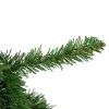 Northlight 7.5' Unlit Pencil White River Fir Artificial Christmas Tree -Outlet Xmas Decor Tree Store GUEST efdec970 00db 4c3a bfaa bb902b7ab27c