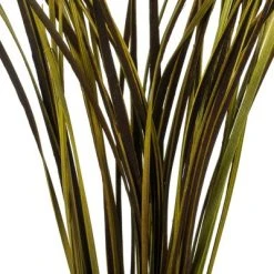 Vickerman 28" Splinter Grass, 11oz Dried