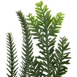 Northlight 6' Mixed Foliage with Pine Cones and Berries Christmas Garland, Unlit -Outlet Xmas Decor Tree Store GUEST f36f3a41 18c9 4e3f 96d3 b928a68865f4