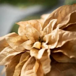 Sullivans Artificial Poinsettia Stem 25"H Gold Flowers