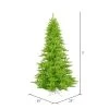 Vickerman Lime Fir Artificial Christmas Tree