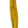 Vickerman 36-38" Sea Kelp, Dried -Outlet Xmas Decor Tree Store GUEST f537df74 3962 452c 855f f10599da4f10