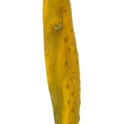 Vickerman 36-38" Sea Kelp, Dried