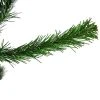 Northlight 4' Colorado Spruce Full Artificial Christmas Tree, Unlit -Outlet Xmas Decor Tree Store GUEST f9ac5ce9 72c6 411d 8c32 fb1b6e4cf013