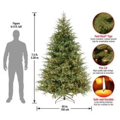 National Tree Company 7.5 ft Pre-Lit 'Feel Real' Artificial Full Christmas Tree, Green, Frasier Grande, White Lights, Includes Stand -Outlet Xmas Decor Tree Store GUEST fb246fd7 8f95 43d0 aff7 8b24105dcc2a