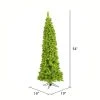 Vickerman Flocked Lime Pencil Fir Artificial Christmas Tree 2 Vickerman Flocked Lime Pencil Fir Artificial Christmas Tree -Outlet Xmas Decor Tree Store GUEST fce05e2b ef0f 4a77 ba32 3fcd39f2d6a7