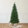 Northlight 6' Pre-Lit Wilson Pine Slim Artificial Christmas Tree, Multi Lights 1 Northlight 6' Pre-Lit Wilson Pine Slim Artificial Christmas Tree, Multi Lights -Outlet Xmas Decor Tree Store GUEST fcfaced9 93e7 402b a233 b81ceea42de2