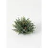 Sullivans Artificial Frosted Arborvitae Orb 7"H Green -Outlet Xmas Decor Tree Store GUEST fd7f23f8 f0b3 4b4e a639 8d4bbb0dc4af