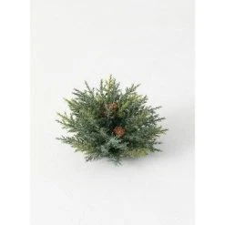 Sullivans Artificial Frosted Arborvitae Orb 7"H Green