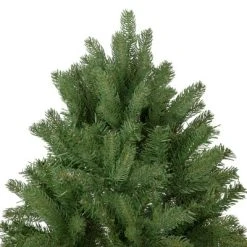 Northlight 6.5' Full Sierra Noble Fir Artificial Christmas Tree - Unlit 9 Northlight 6.5' Full Sierra Noble Fir Artificial Christmas Tree - Unlit -Outlet Xmas Decor Tree Store GUEST fde40347 761e 46a4 ab42 35a444e9c145