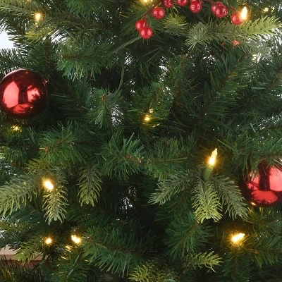 National Tree Company First Traditions 4' Pre-Lit LED Feel Real Scotch Creek Fir Potted Artificial Christmas Tree White Lights 4 National Tree Company First Traditions 4' Pre-Lit LED Feel Real Scotch Creek Fir Potted Artificial Christmas Tree White Lights - Image 2