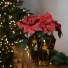 Northlight 14.5" Dark Pink Artificial Christmas Poinsettia with Gold Wrapped Base -Outlet Xmas Decor Tree Store GUEST ffcf3b47 dbc5 40fe bb87 07a9eadd7c83
